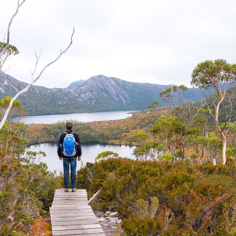 Afbeelding omschrijving