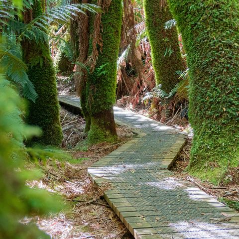 Afbeelding omschrijving