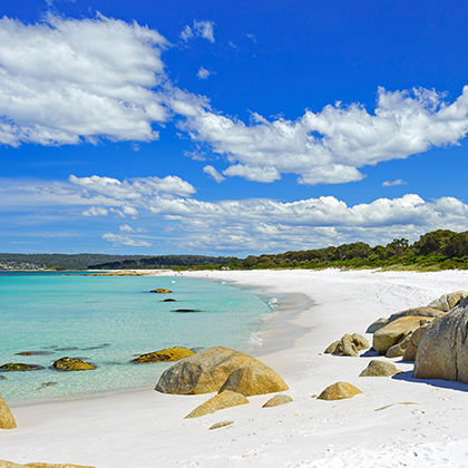 Afbeelding omschrijving