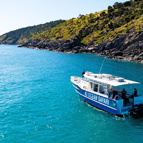 Afbeelding omschrijving