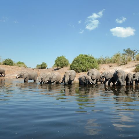 Afbeelding omschrijving