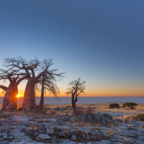 Afbeelding omschrijving