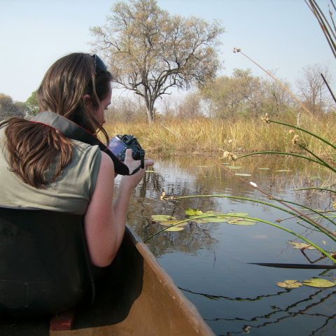 Afbeelding omschrijving