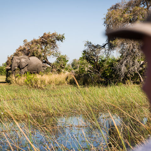 Afbeelding omschrijving