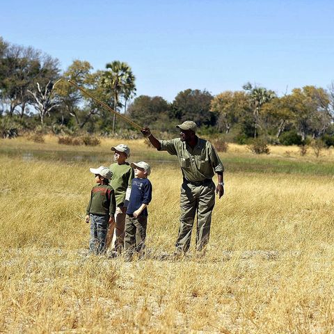 Afbeelding omschrijving