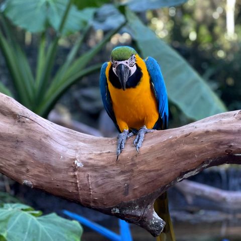 Afbeelding omschrijving