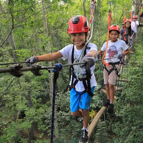 Afbeelding omschrijving