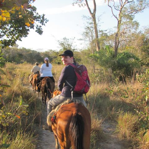 Afbeelding omschrijving