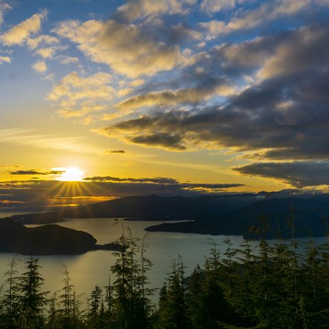 Afbeelding omschrijving