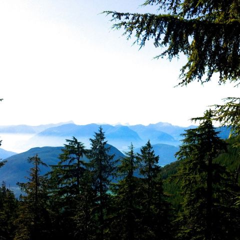 Afbeelding omschrijving