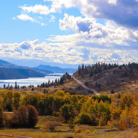 Afbeelding omschrijving