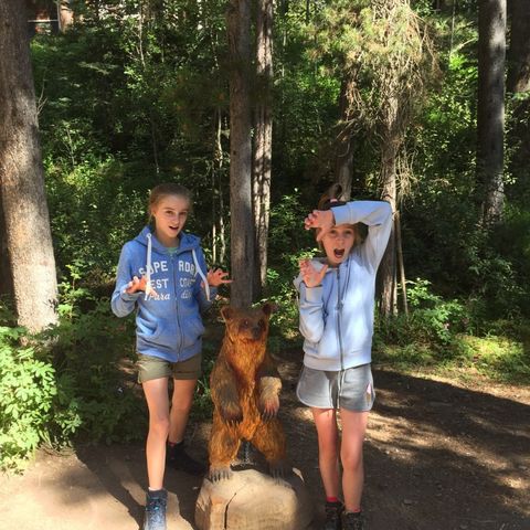 Afbeelding omschrijving