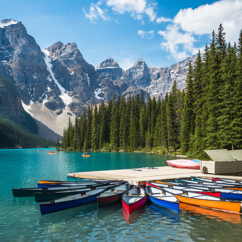 Afbeelding omschrijving