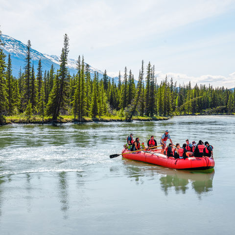 Afbeelding omschrijving