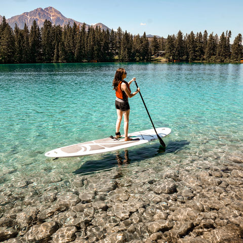 Afbeelding omschrijving