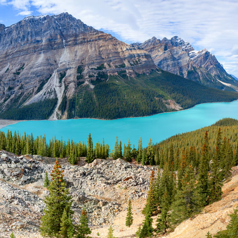 Peyto Lake in Banff National Park