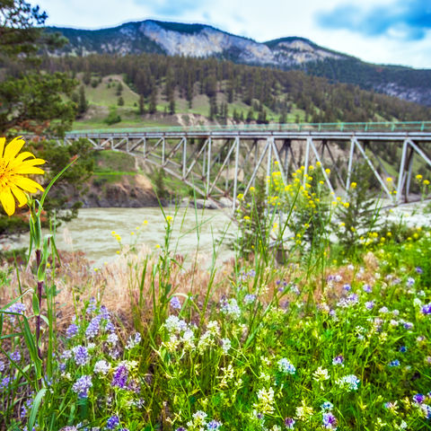 Afbeelding omschrijving