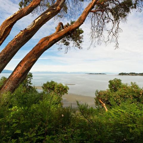 Afbeelding omschrijving