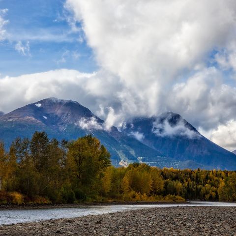 Afbeelding omschrijving