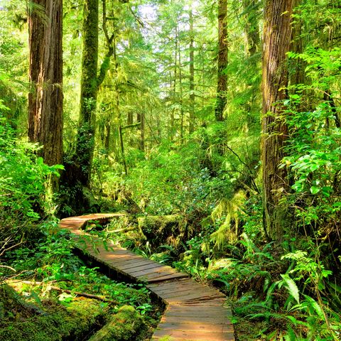 Afbeelding omschrijving