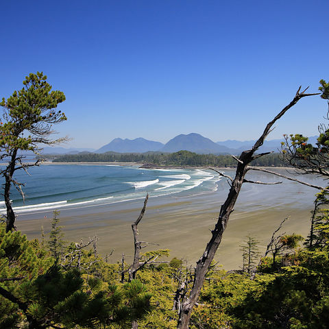 Afbeelding omschrijving