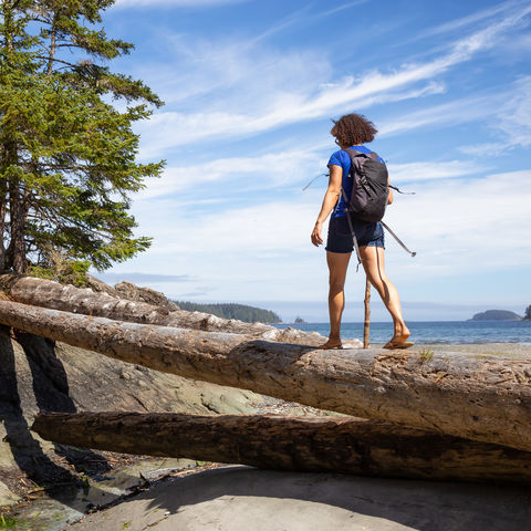 Afbeelding omschrijving