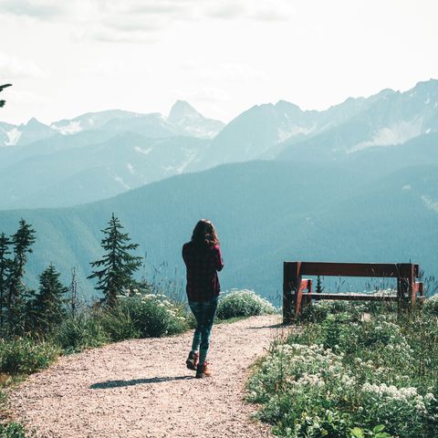 Afbeelding omschrijving