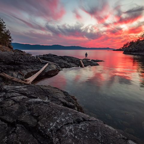 Afbeelding omschrijving