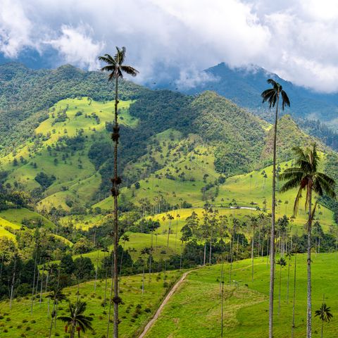 Afbeelding omschrijving