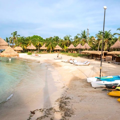 Afbeelding omschrijving