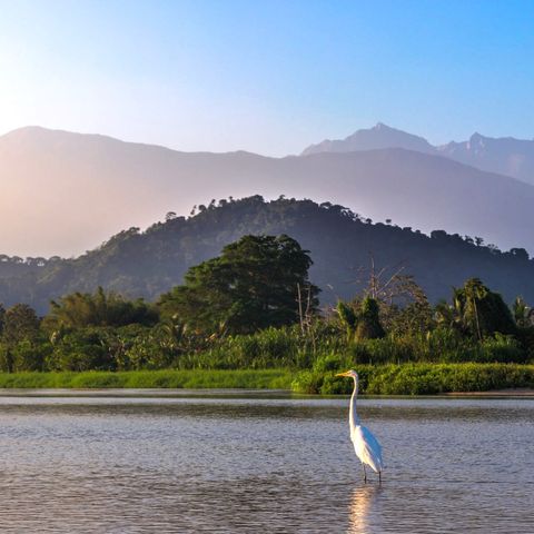 Afbeelding omschrijving