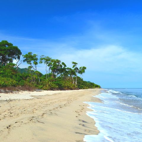 Afbeelding omschrijving