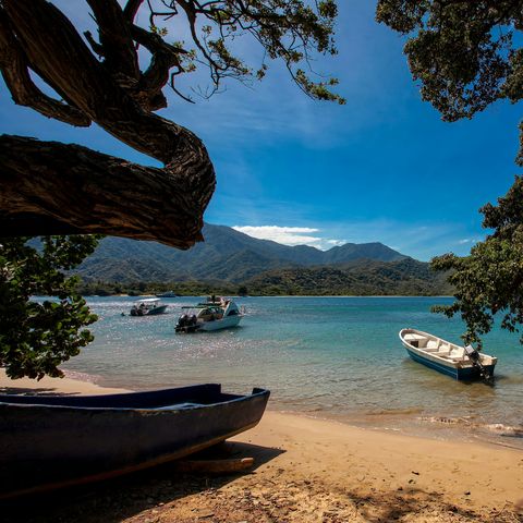 Afbeelding omschrijving