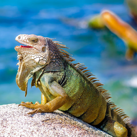 Afbeelding omschrijving