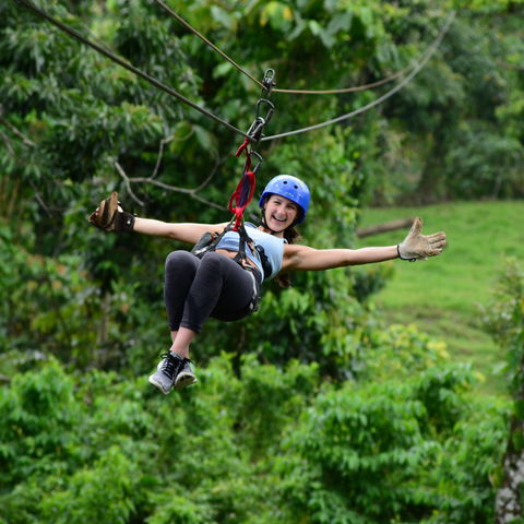 Afbeelding omschrijving