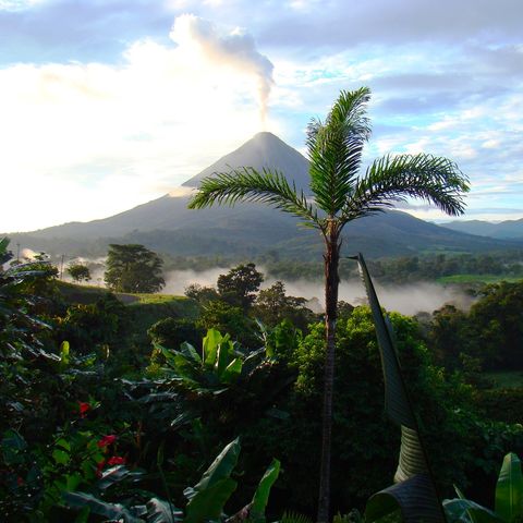 Afbeelding omschrijving