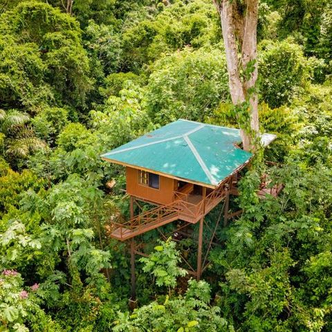 Boomhut, Maquenque Eco Lodge