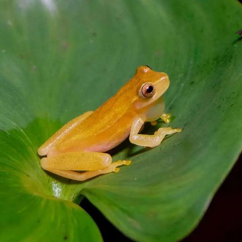 Afbeelding omschrijving