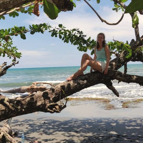 Afbeelding omschrijving