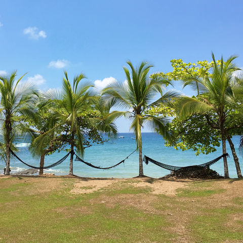 Afbeelding omschrijving