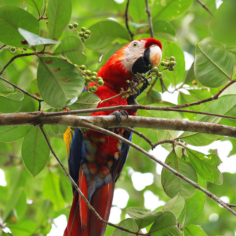Afbeelding omschrijving