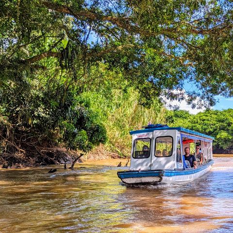 Afbeelding omschrijving