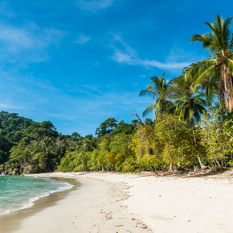 Afbeelding omschrijving