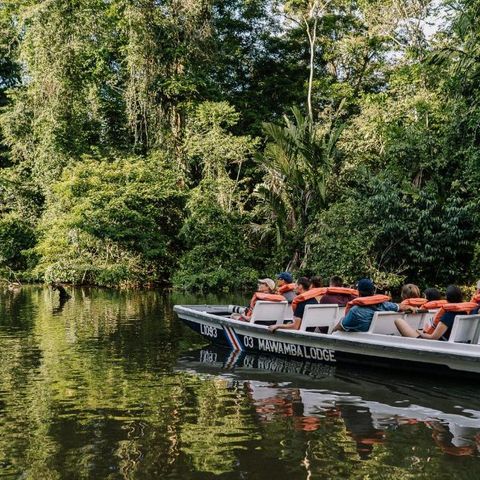 Afbeelding omschrijving