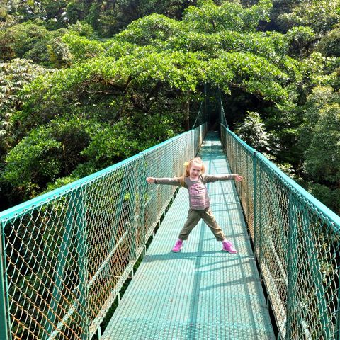 Afbeelding omschrijving