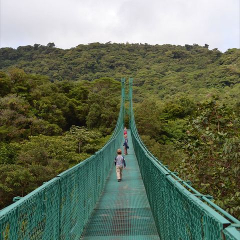 Hangbruggen in Monteverde