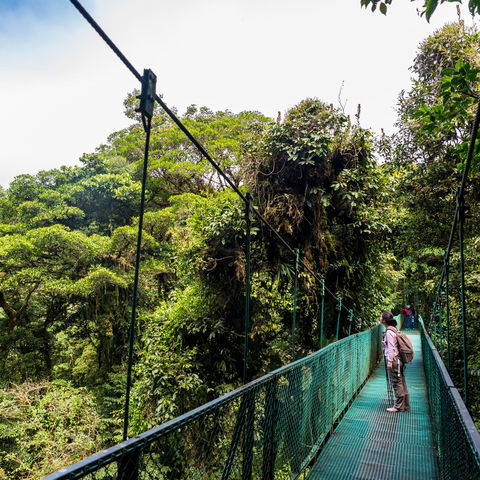 Afbeelding omschrijving
