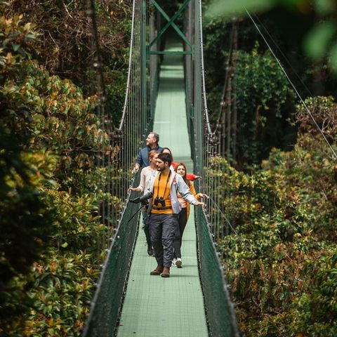 Treetopia, Monteverde