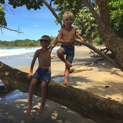 Afbeelding omschrijving