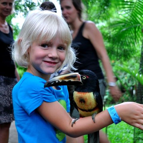 Afbeelding omschrijving